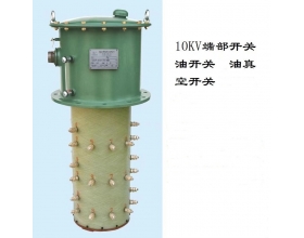 1OKV端部開關油開關油真空開關